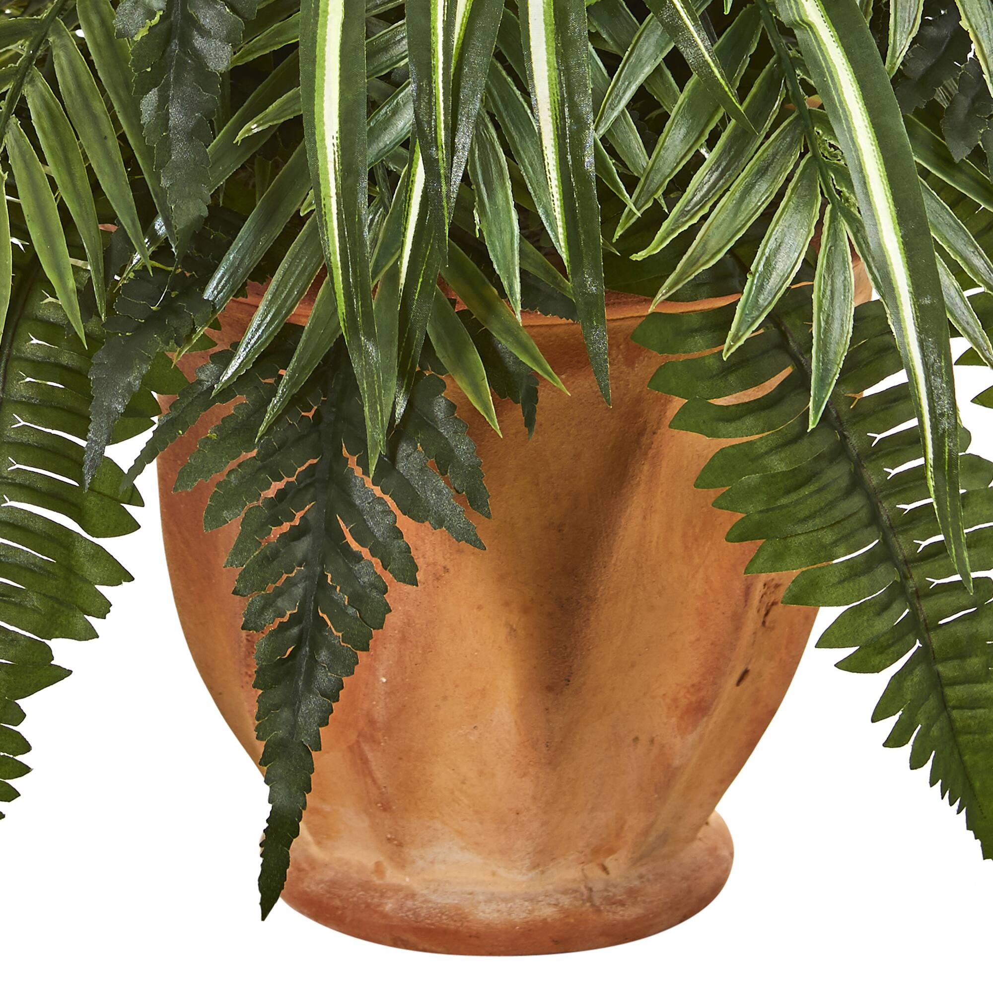 23" Mixed Leaf & Fern Plant in Terra Cotta Planter